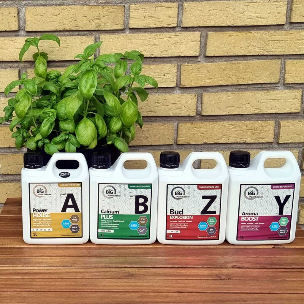 Big Plant Science