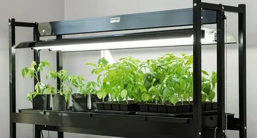 faq om grolys og kunstigt lys til plantevaekst