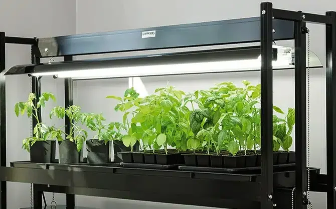 faq om grolys og kunstigt lys til plantevaekst